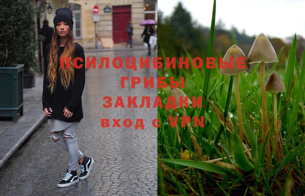 ECSTASY Абаза