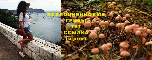 спайс Алексин