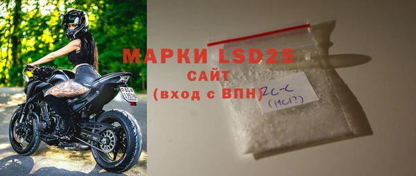 прущие грибы Ростов